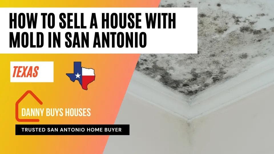 how to sell a house with mold san antonio article graphic